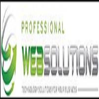 Professional Web Solutions image 2
